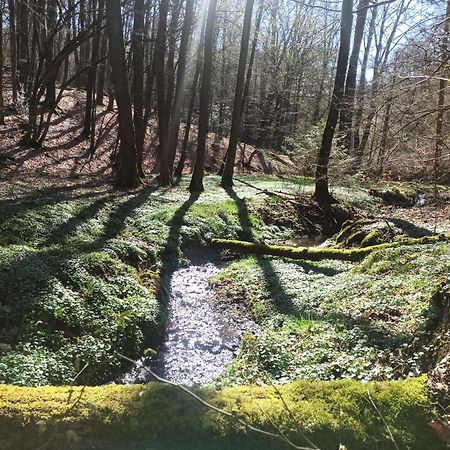 Wellness Ferienwohnung Biene Im Bergischen Land Much Exterior photo